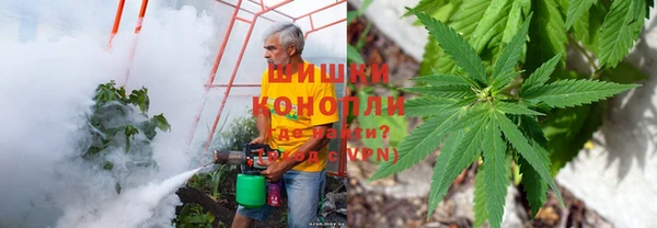 мдпв Богородск