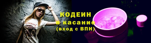 мдпв Богородск