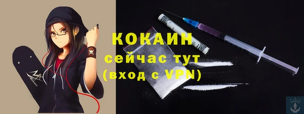 ALPHA-PVP Богородицк