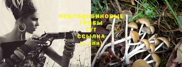 кокаин Богданович