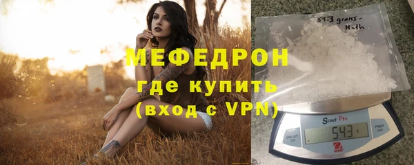 мдпв Богородск