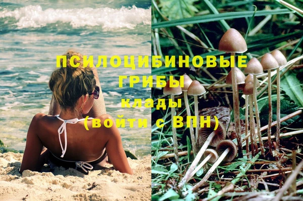 кокаин Богданович