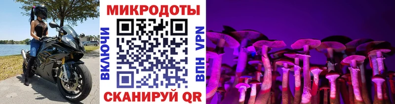 Псилоцибиновые грибы GOLDEN TEACHER Комсомольск-на-Амуре